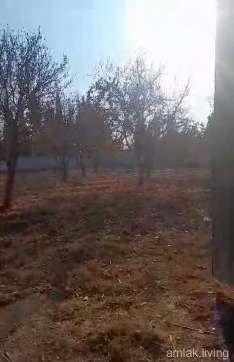 ارض على طريق المطار عالشارع العام للبيع (83)