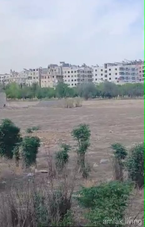 أرض في ببيلا للبيع (102)