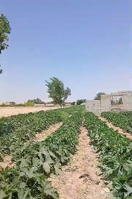 أرض للبيع في زبدين بواجهه 40م على الطريق (491)