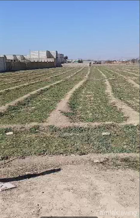 ارض 7 دونم في زبدين للبيع (266)