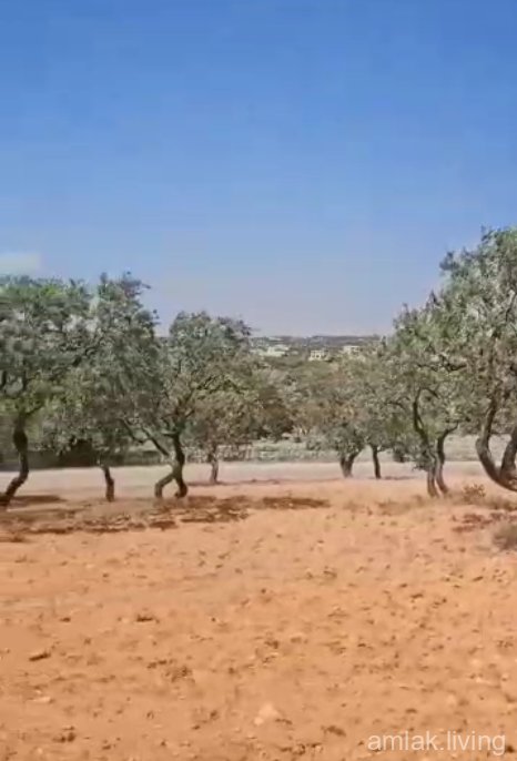 بسم الله الرحمن الرحيم أرض للبيع 🛕  المواصفات:  - مساحة ارض 3.5دونم  - طابو أخضر  - على شارعين