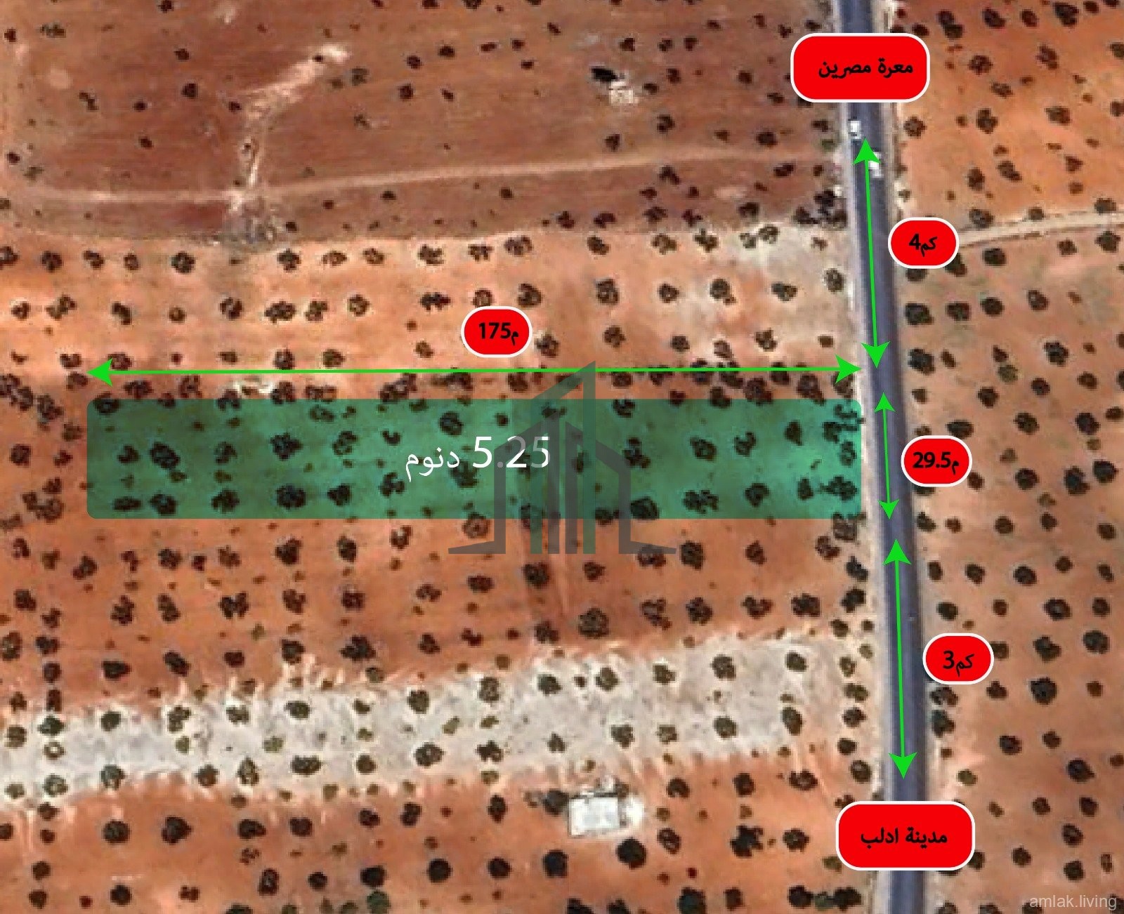 للبيع ارض زيتون على الطريق الرئيسي معرة مصرين