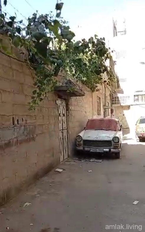 بيت عربي 200م في ببيلا (556)