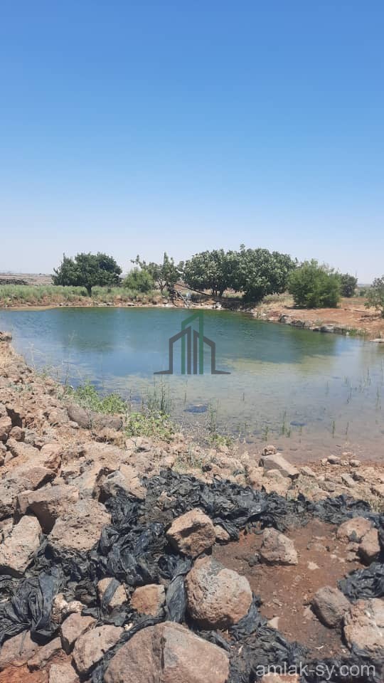 ارض 30 دنم في تل شحم للبيع