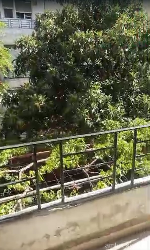 للبيع شقة 4غرف وصالون 175متر مربع بحي الروضة قريب من مؤسسة السينما