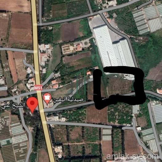 أرض 5500م تصلح لجميع الاستثمارات في طرطوس الهيشة للبيع