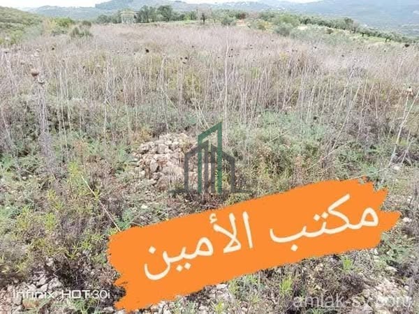 أرض 25 دونم في طرطوس نهر الخوابي