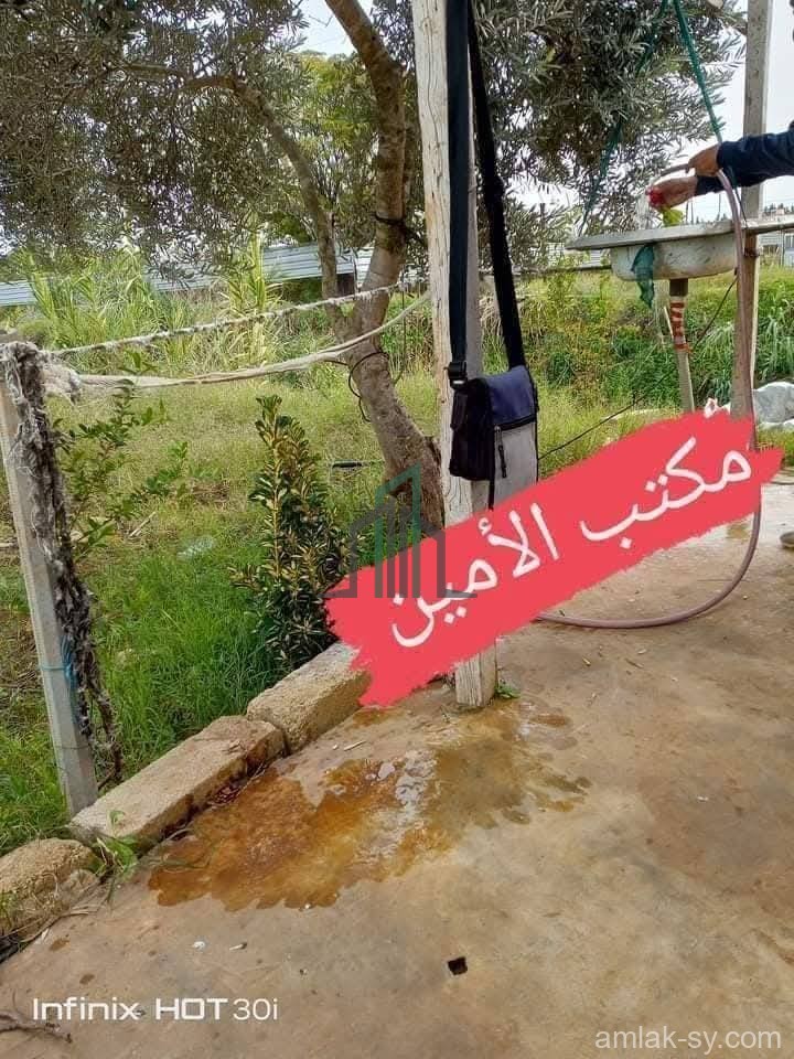 أرض ضمنها غرفه ومنافع 600م في طرطوس الهيشة للبيع