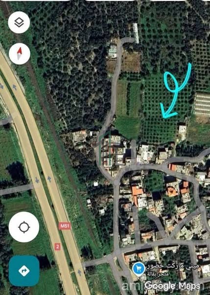 أرض مشجره حمضيات طرطوس ابوعفصه