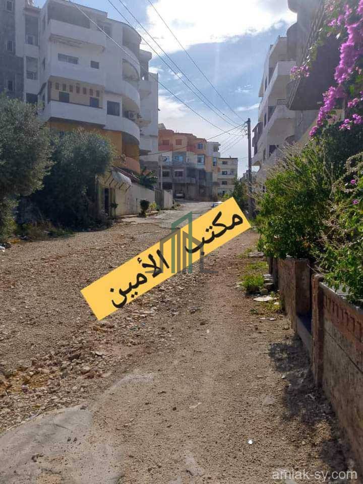 شقه 135م في طرطوس دوير الشيخ سعد للبيع