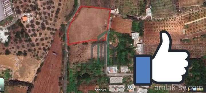 ارض زراعية خمس دونمات على استراد حمص طرطوس للبيع