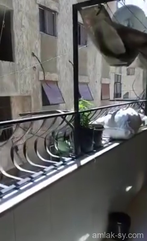 للبيع شقة 120م ريف دمشق ببيلا العرض (595)