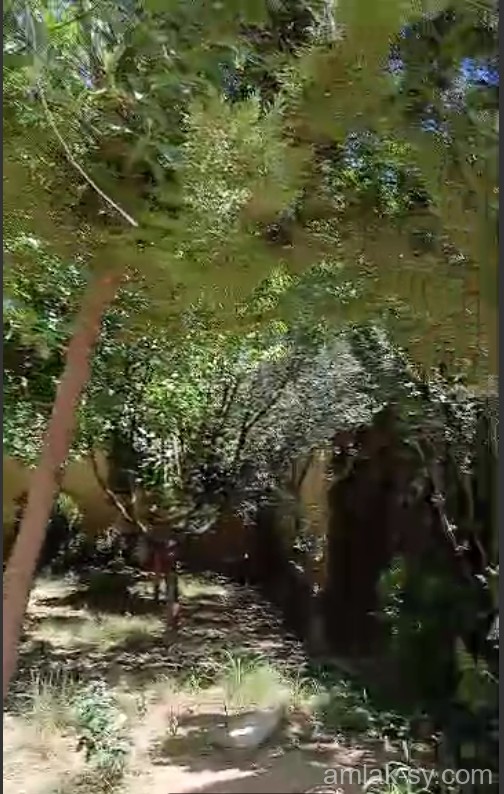 للبيع مزرعة 650م ريف دمشق الغوطة الشرقية زبدين العرض (601)