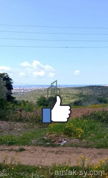 ارض 2000م قرب مقسم الهاتف للبيع