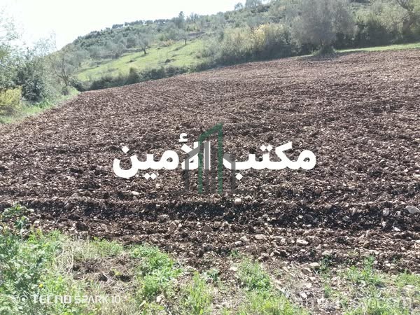 أرض 2000م في الشيخ بدر للبيع