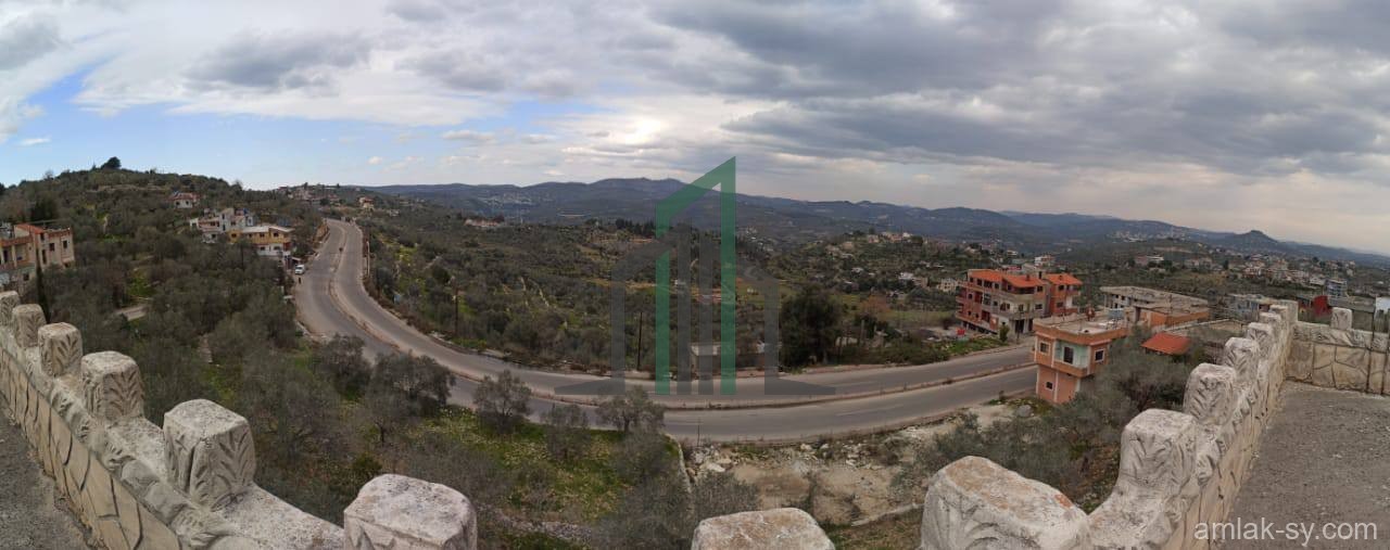 بيت عربي صمم على شكل ڤيلا دوبلكس على طريق الدريكيش للبيع