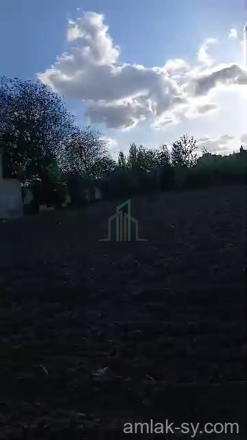 أرض 95 قصبة في ببيلا للبيع (390)