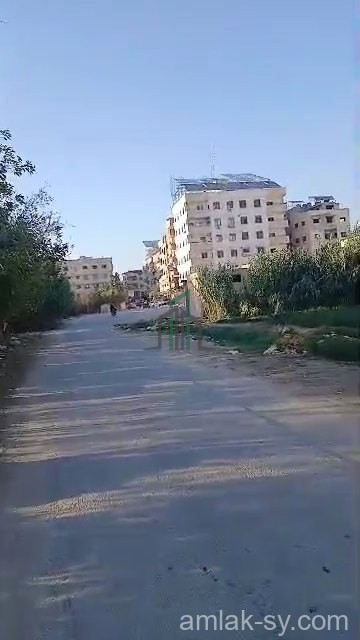 أرض 118 قصبة في ببيلا للبيع (779)