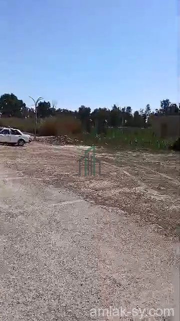 أرض 25 دونم على طريق المطار للبيع (839)