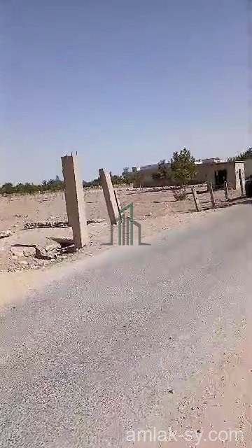 أرض 4قطع بمجموع مساحة 3950م في زبدين للبيع (911)