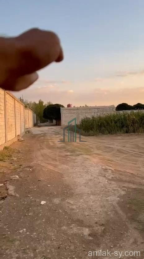 أرض 3500م مشجرة في زبدين للبيع (919)