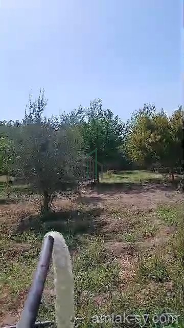 بستان 2500م في زبدين للبيع (961)