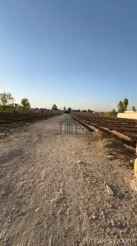 ارض نص دنم مصونة في زبدين للبيع