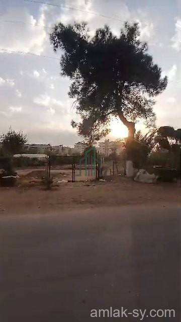 ارض 3 دونم بعد قرية معلا على طريق المطار للبيع (52)